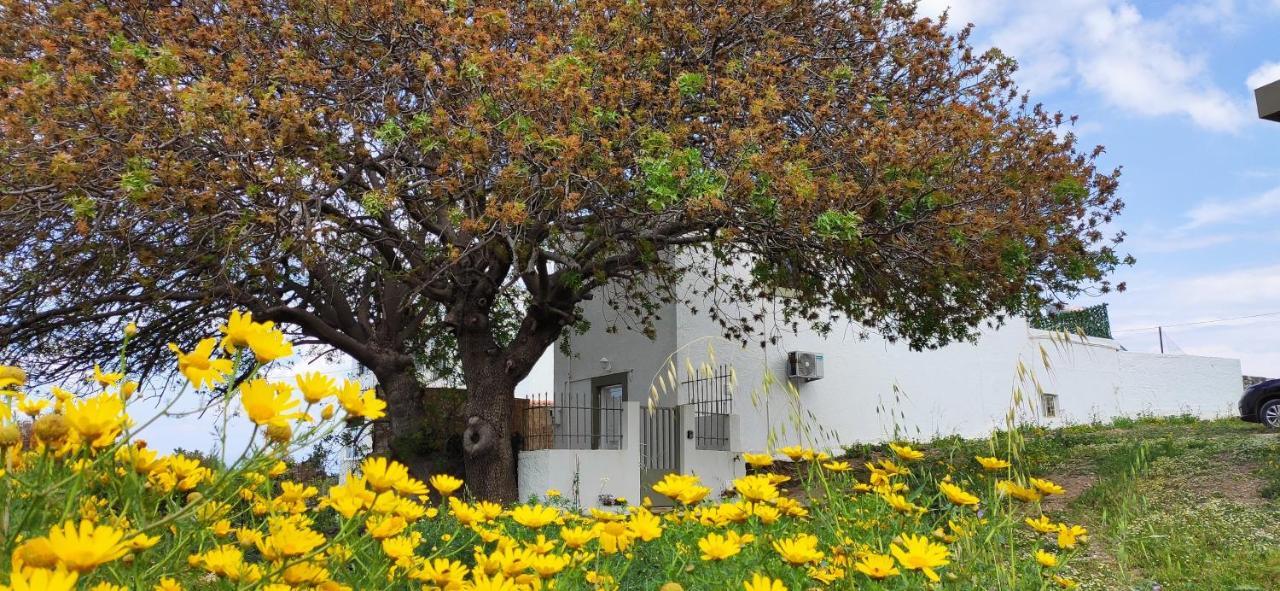 Traditional Suburbs Maisonette İstanköy Dış mekan fotoğraf